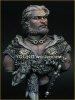 Young Miniatures YH1822 Celtic Warriors 1st C. BC Battle of the Beast 1/10